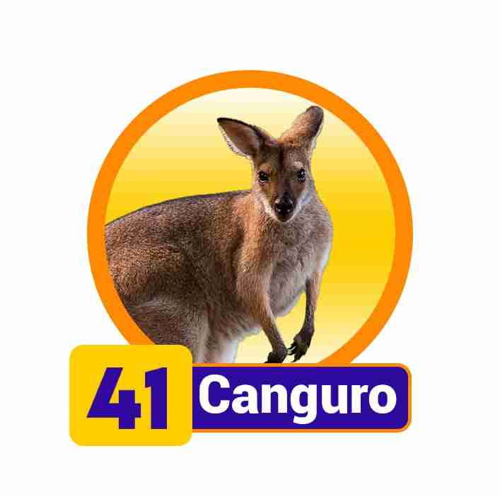 Animal