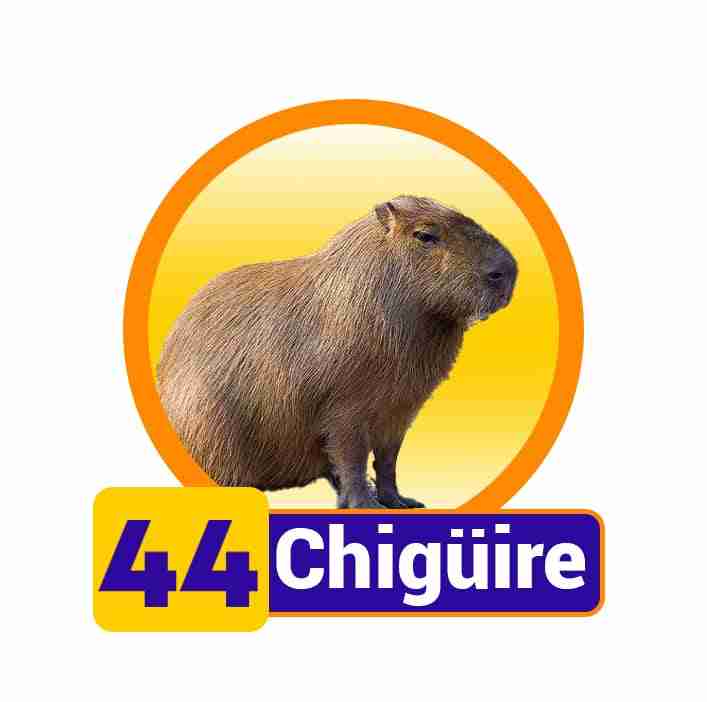 Animal
