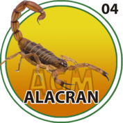 Animal