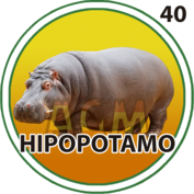 Animal