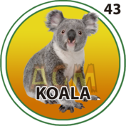 Animal