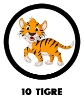 Animal