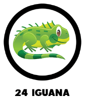 Animal