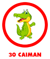 Animal