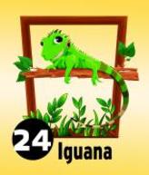 Animal