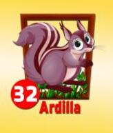 Animal